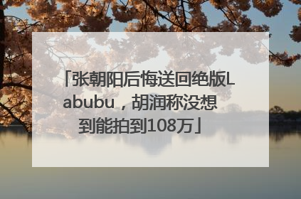 张朝阳后悔送回绝版Labubu，胡润称没想到能拍到108万