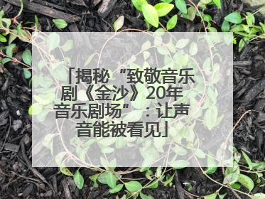揭秘“致敬音乐剧《金沙》20年音乐剧场”：让声音能被看见