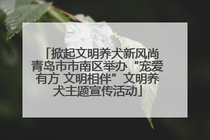 掀起文明养犬新风尚 青岛市市南区举办“宠爱有方 文明相伴”文明养犬主题宣传活动
