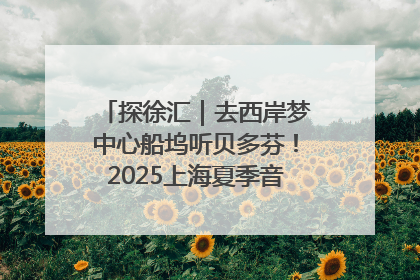 探徐汇｜去西岸梦中心船坞听贝多芬！2025上海夏季音乐节公布节目阵容