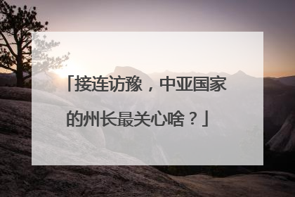 接连访豫，中亚国家的州长最关心啥？