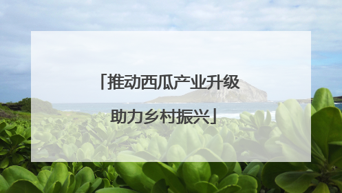 推动西瓜产业升级 助力乡村振兴