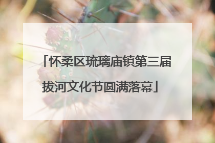 怀柔区琉璃庙镇第三届拔河文化节圆满落幕