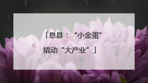 息县：“小金蛋”撬动“大产业”
