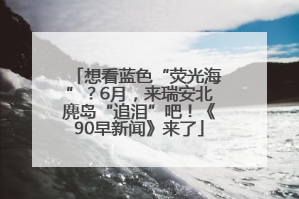 想看蓝色“荧光海”？6月，来瑞安北麂岛“追泪”吧！《90早新闻》来了