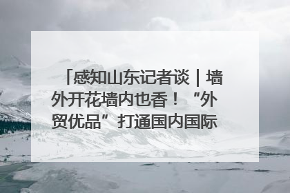 感知山东记者谈｜墙外开花墙内也香！“外贸优品”打通国内国际市场“旋转门”