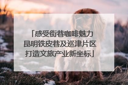 感受街巷咖啡魅力 昆明铁皮巷及巡津片区打造文旅产业新坐标