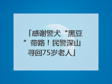 感谢警犬“黑豆”带路！民警深山寻回75岁老人