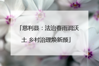 慈利县：法治春雨润沃土 乡村治理焕新颜