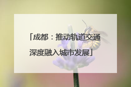 成都：推动轨道交通深度融入城市发展