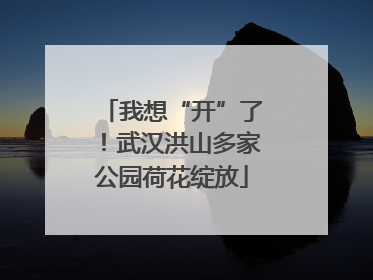 我想“开”了！武汉洪山多家公园荷花绽放