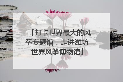 打卡世界最大的风筝专题馆，走进潍坊世界风筝博物馆