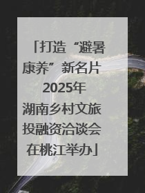 打造“避暑康养”新名片 2025年湖南乡村文旅投融资洽谈会在桃江举办