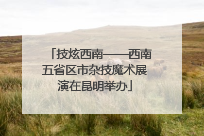 技炫西南——西南五省区市杂技魔术展演在昆明举办