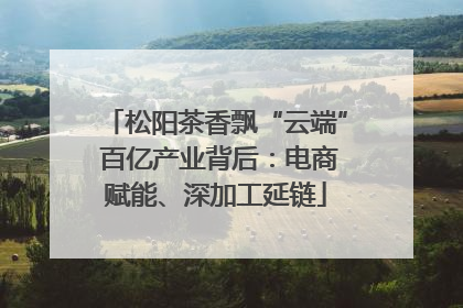 松阳茶香飘“云端” 百亿产业背后：电商赋能、深加工延链