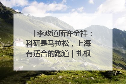 李政道所许金祥：科研是马拉松，上海有适合的跑道｜扎根上海，从0到1