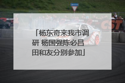 杨东奇来我市调研 杨国强陈必昌田和友分别参加