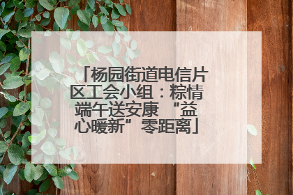 杨园街道电信片区工会小组：粽情端午送安康 “益心暖新”零距离