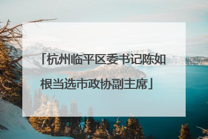 杭州临平区委书记陈如根当选市政协副主席