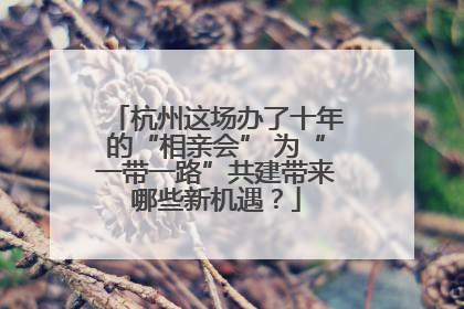 杭州这场办了十年的“相亲会” 为“一带一路”共建带来哪些新机遇？