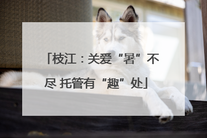 枝江：关爱“暑”不尽 托管有“趣”处