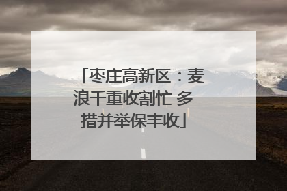 枣庄高新区：麦浪千重收割忙 多措并举保丰收