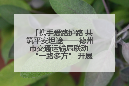 携手爱路护路 共筑平安坦途——德州市交通运输局联动 “一路多方” 开展路政宣传月活动