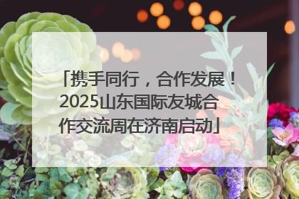 携手同行，合作发展！2025山东国际友城合作交流周在济南启动