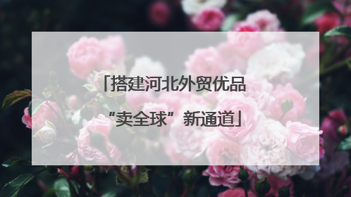 搭建河北外贸优品“卖全球”新通道