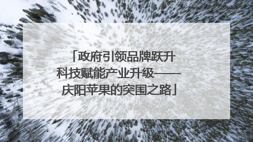 政府引领品牌跃升 科技赋能产业升级——庆阳苹果的突围之路