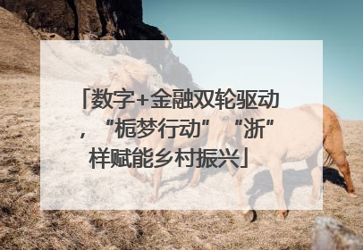 数字+金融双轮驱动，“栀梦行动”“浙”样赋能乡村振兴