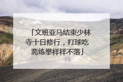 文班亚马结束少林寺十日修行，打球吃斋练拳样样不落