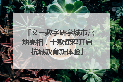 文三数字研学城市营地亮相，十款课程开启杭城教育新体验