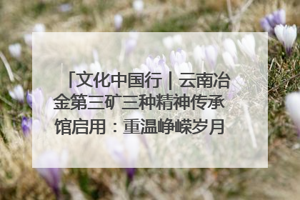 文化中国行｜云南冶金第三矿三种精神传承馆启用：重温峥嵘岁月 细品冶金魅力