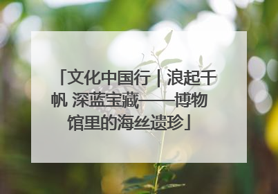 文化中国行｜浪起千帆 深蓝宝藏——博物馆里的海丝遗珍
