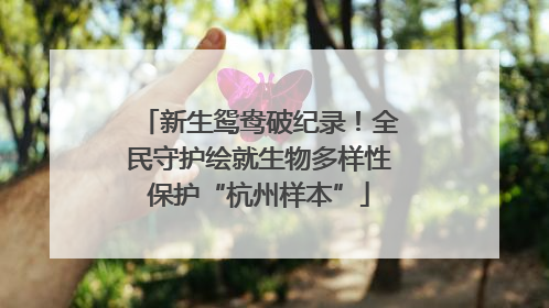 新生鸳鸯破纪录！全民守护绘就生物多样性保护“杭州样本”