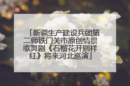 新疆生产建设兵团第二师铁门关市原创情景歌舞剧《石榴花开别样红》将来河北巡演