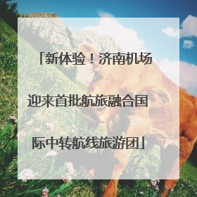 新体验！济南机场迎来首批航旅融合国际中转航线旅游团