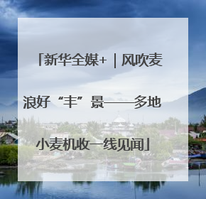 新华全媒+｜风吹麦浪好“丰”景——多地小麦机收一线见闻