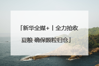 新华全媒+丨全力抢收夏粮 确保颗粒归仓