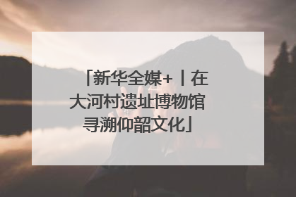 新华全媒+丨在大河村遗址博物馆寻溯仰韶文化
