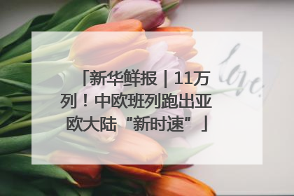新华鲜报｜11万列！中欧班列跑出亚欧大陆“新时速”