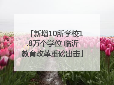 新增10所学校1.8万个学位 临沂教育改革重磅出击