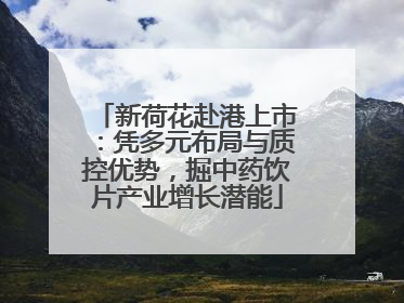新荷花赴港上市：凭多元布局与质控优势，掘中药饮片产业增长潜能