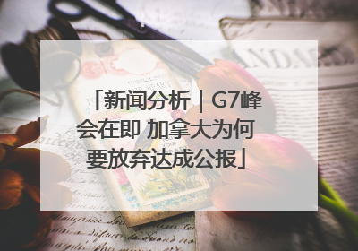 新闻分析｜G7峰会在即 加拿大为何要放弃达成公报