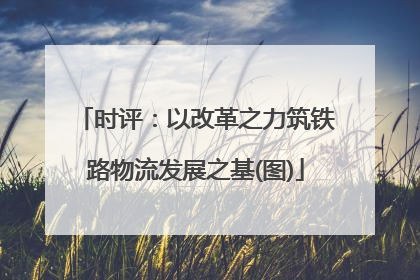 时评：以改革之力筑铁路物流发展之基(图)