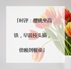 时评：樱桃坐高铁，早晨枝头摘，傍晚到餐桌