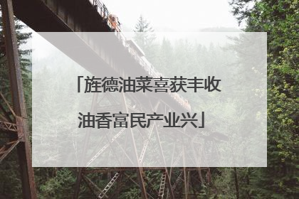 旌德油菜喜获丰收 油香富民产业兴