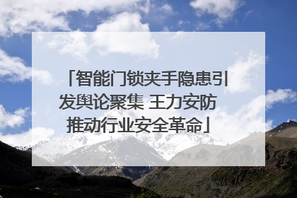 智能门锁夹手隐患引发舆论聚集 王力安防推动行业安全革命