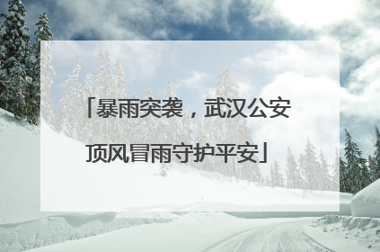 暴雨突袭，武汉公安顶风冒雨守护平安